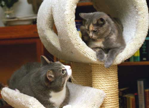 Lucy and George