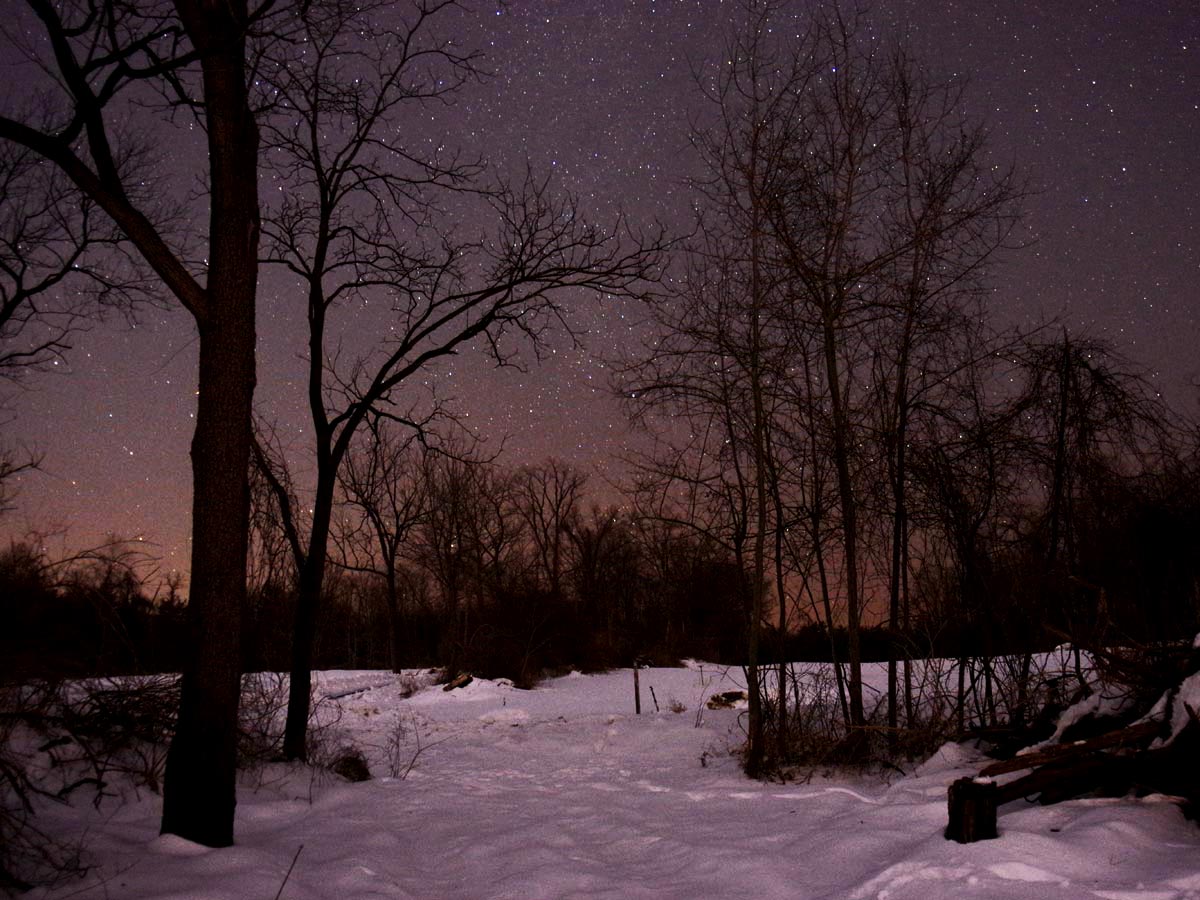 Stars and snow